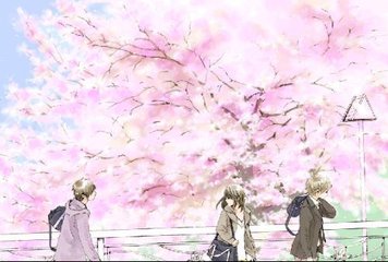 男生女生差差差拔萝卜